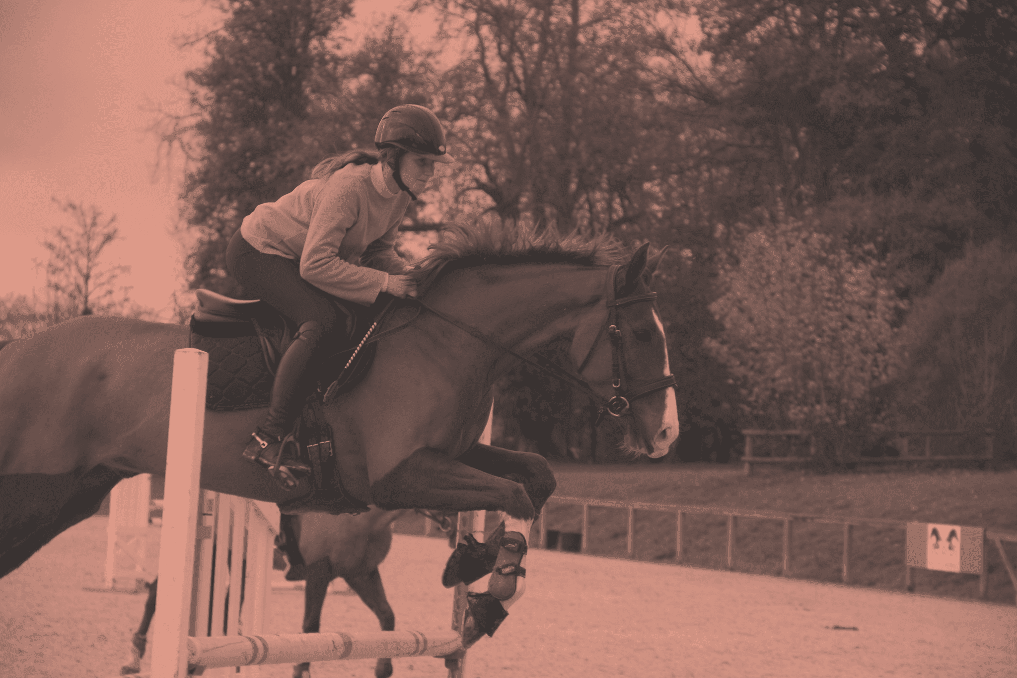 Données personnelles